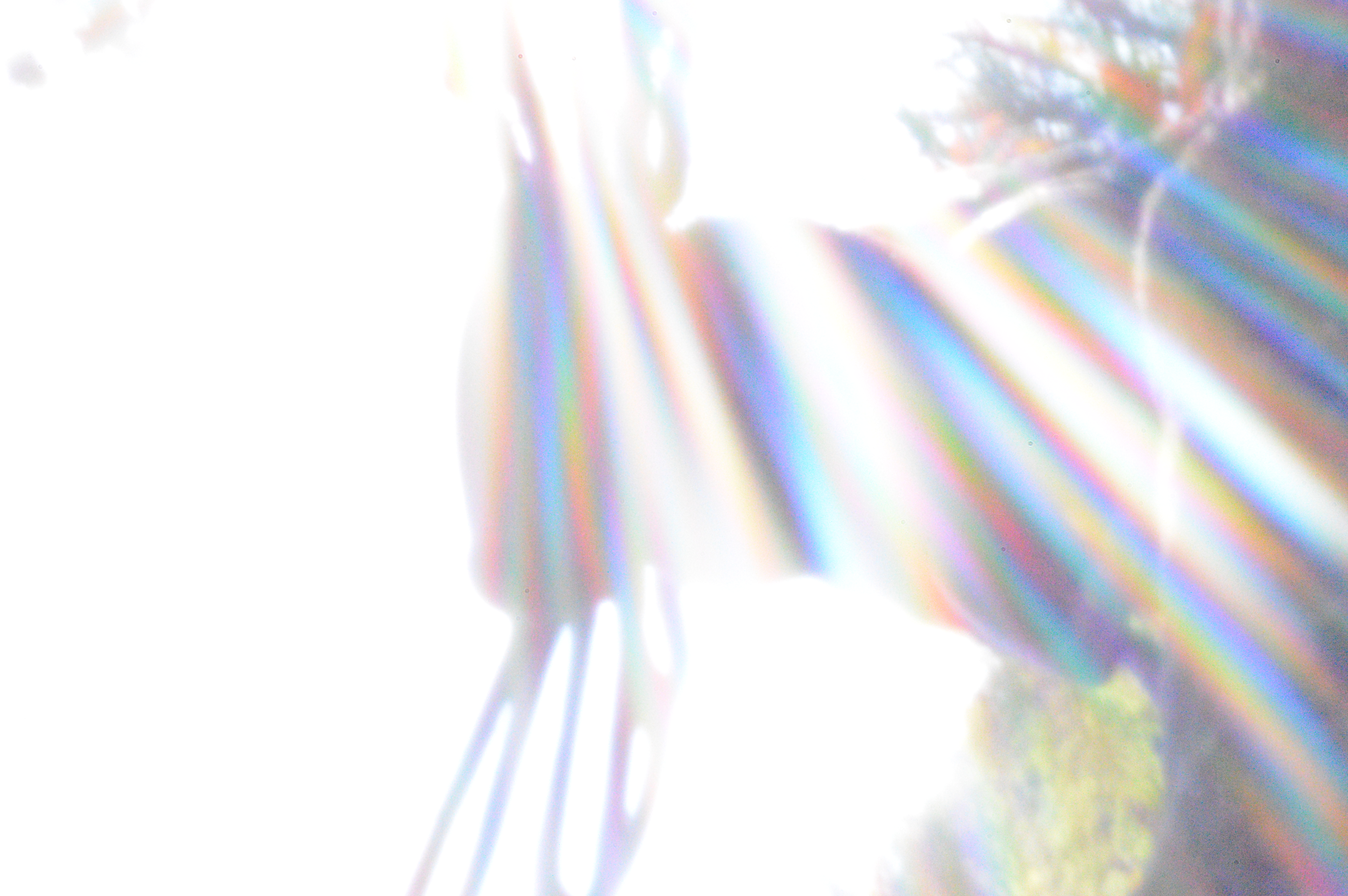 pinhole-photographs-mmxvii_bee-light-interference.jpg
